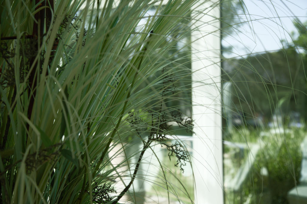 Thermenhotel Quellenhof บาดฟึสซิง ภายนอก รูปภาพ